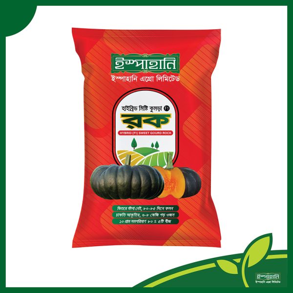 Rock Pumpkin Seeds mini packet 40 Tk