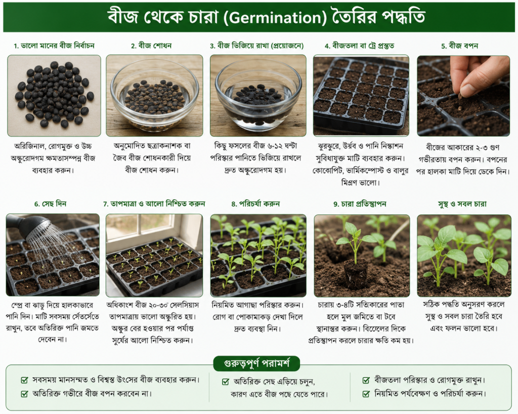 বীজ থেকে চারা (Germination) তৈরির সঠিক পদ্ধতি