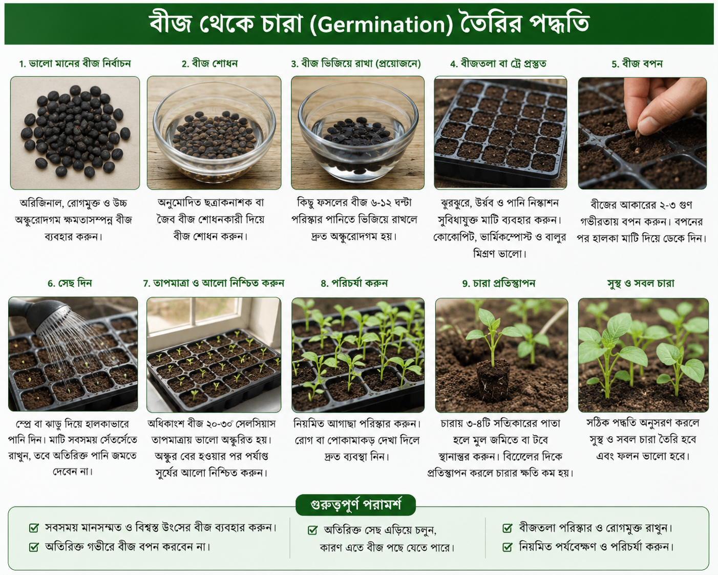 বীজ থেকে চারা (Germination) তৈরির সঠিক পদ্ধতি