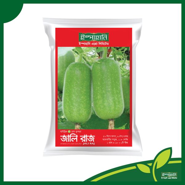 Jali Raj Wax Gourd