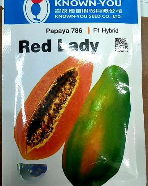 Red Lady papaya
