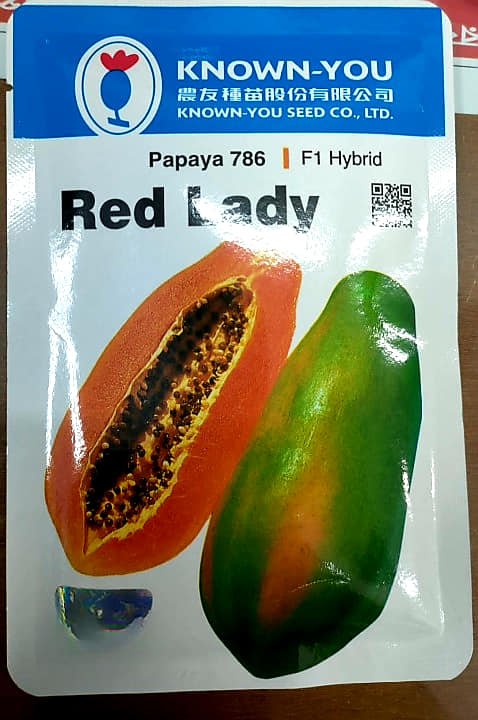 Red Lady papaya