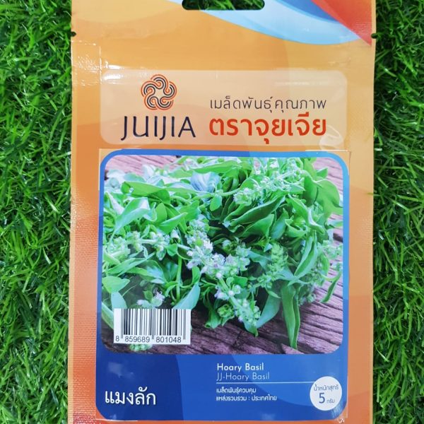 Basil Seed for Planting