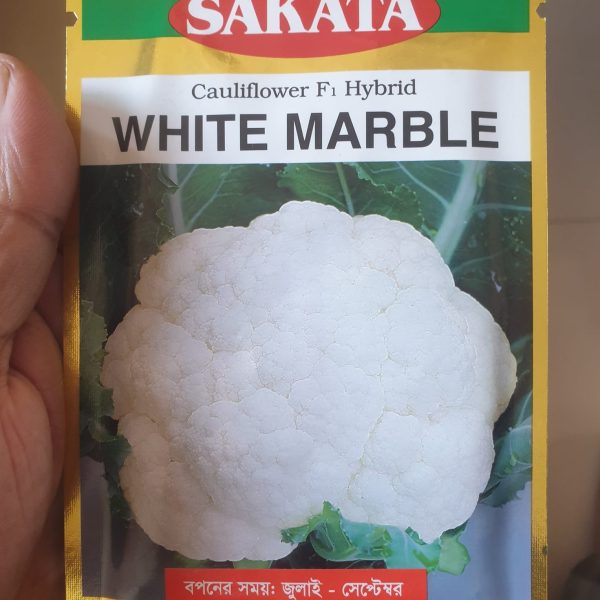sakata Cauliflower