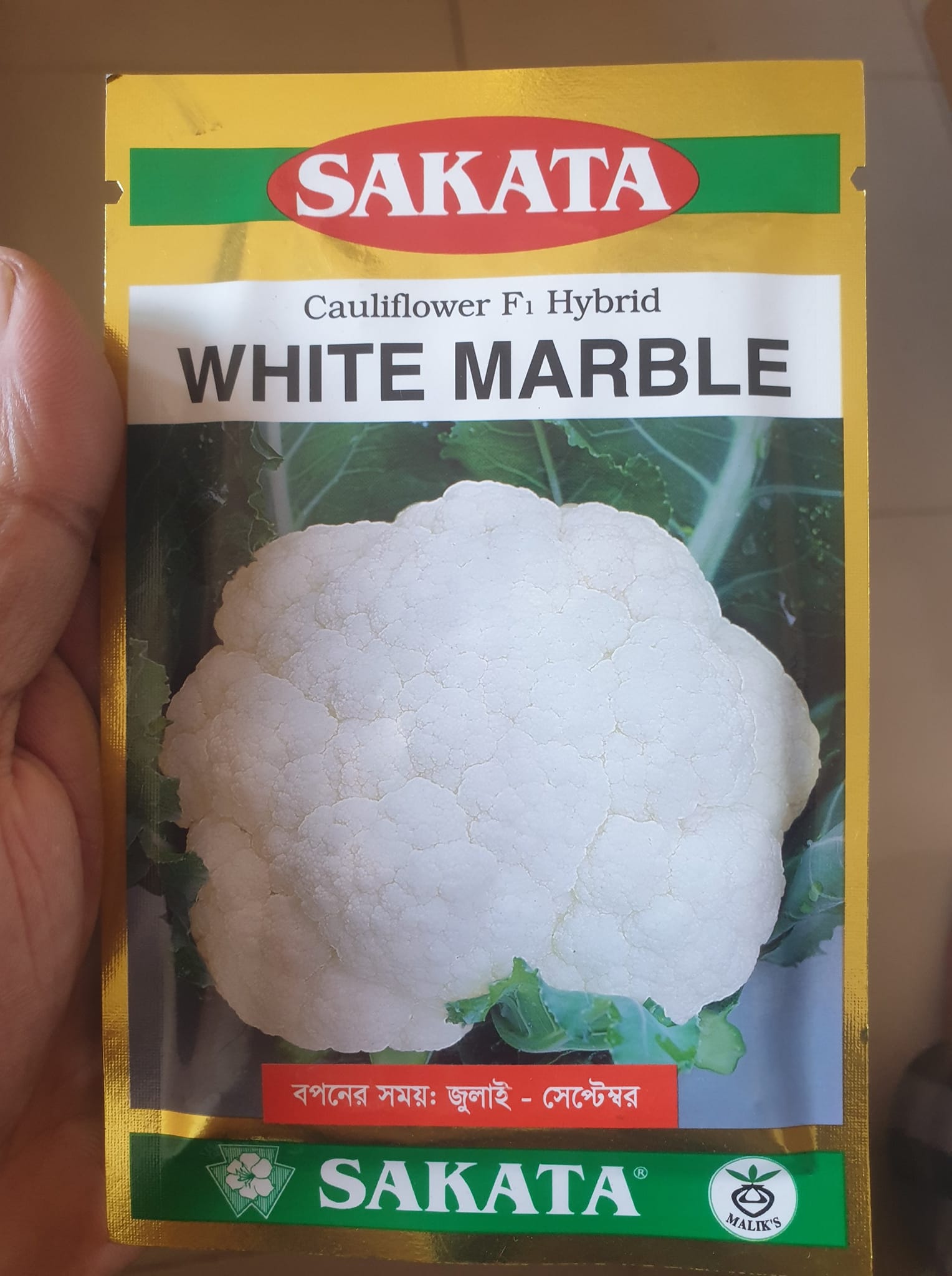 sakata Cauliflower
