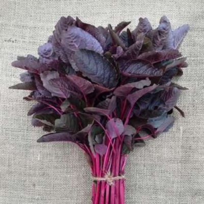 Amaranthus Red seeds- SeedsMate