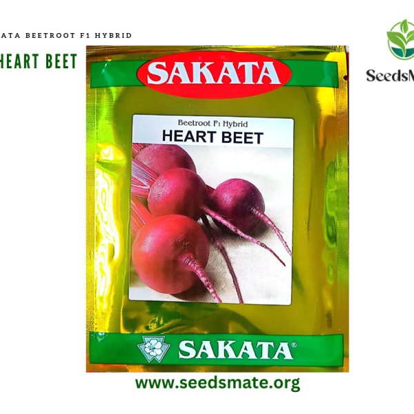 SAKATA BEETROOT F1 HYBRID