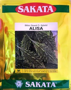 হাইব্রিড মাঝারি করলা- আলিশা Alisha