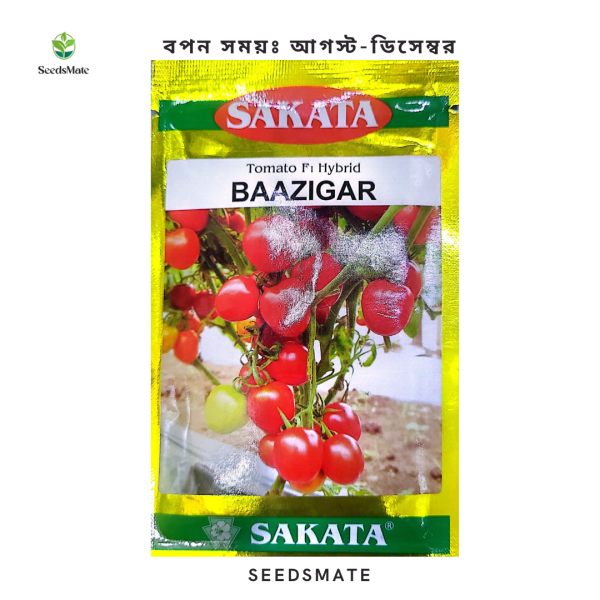 হাইব্রিড টমেটো- বাজীগর (Baazigar) 5 gm
