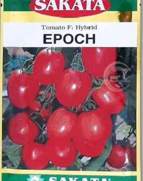 হাইব্রিড টমেটো- ইপক Epoch 5 GM