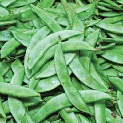 All Season Beans