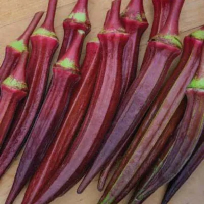 All Season Red Okra Seeds