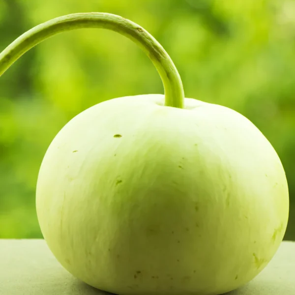 Round Gourd