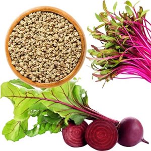 Beetroot Seeds