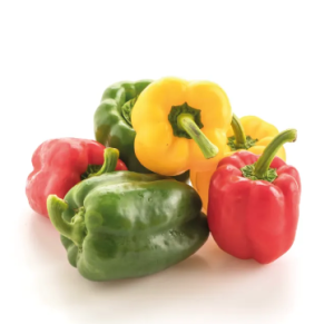 Capsicum