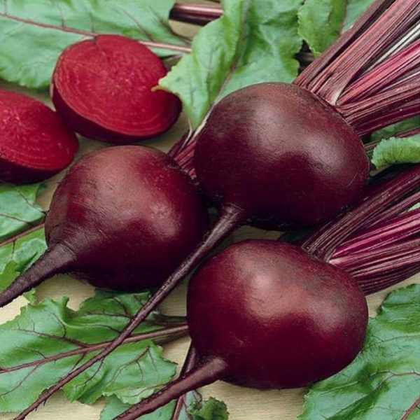 F1 Hybrid Beetroot Seeds