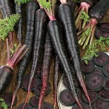 Global Black Carrot Vegetable Seeds