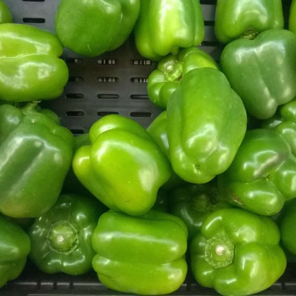 Green Sweet Bell Capsicum