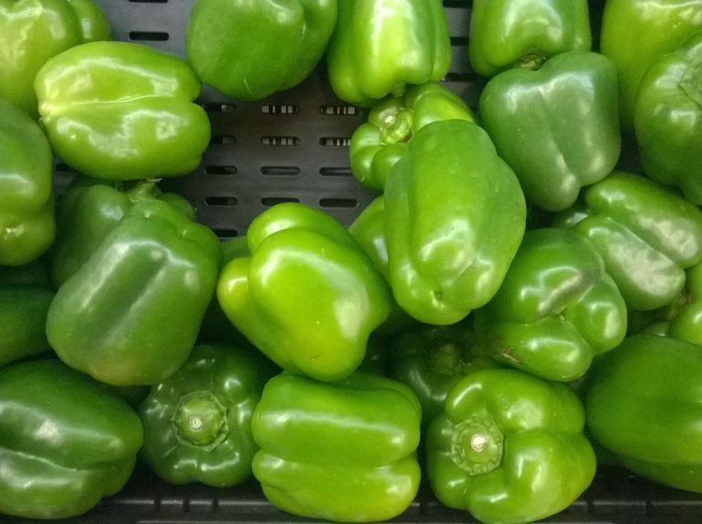 Green Sweet Bell Capsicum
