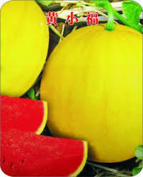 Huangxiao Fu Small Yellow Watermelon