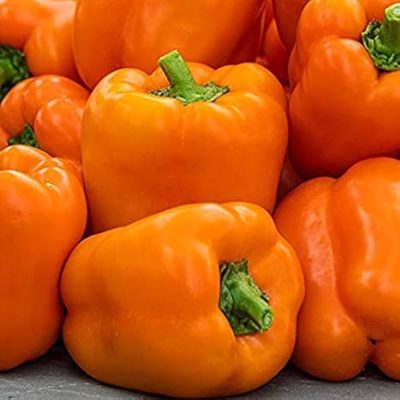 Hybrid Orange Capsicum Seeds