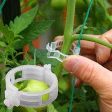 Plastic Plant Clips (Supports Fixing Vine)