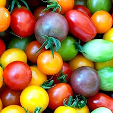 Rare Greek Tomato Bonsai Heirloom