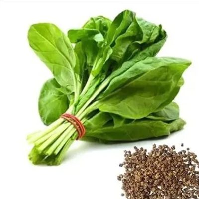 Spinach