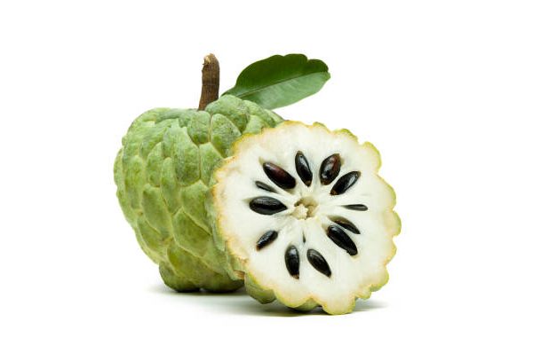 Suger Free Custard Apple