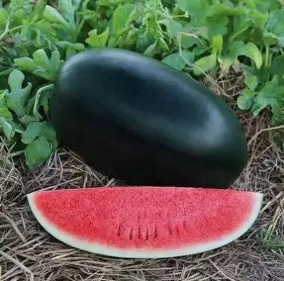 Black Watermelon