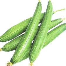 Dhundol seeds