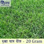 20 gm Dubba Grass Seeds (দূর্বা ঘাস)