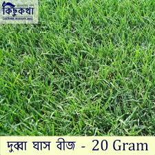 20 gm Dubba Grass Seeds (দূর্বা ঘাস)