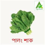 25 gm Spinach Seeds (পালং শাক)