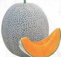 Bali Shi Textured Sammam Seeds (10 pcs)