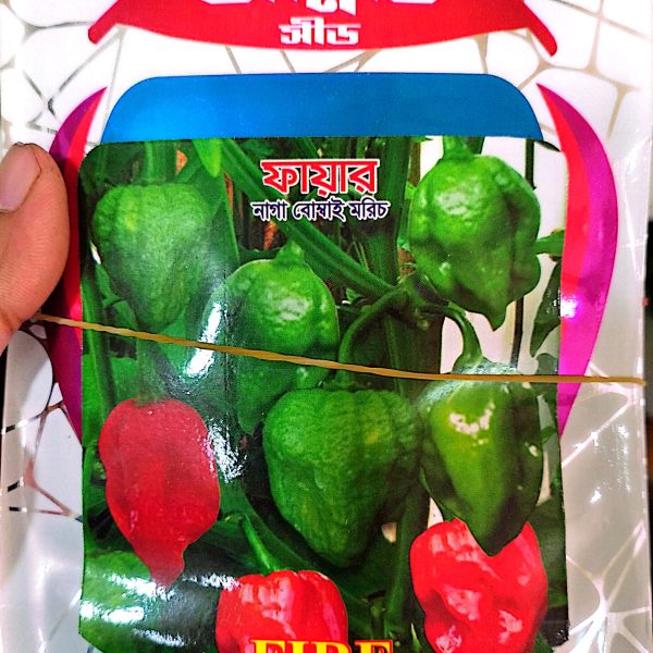 Naga Green Bombay Chilli Seeds (1 gm)