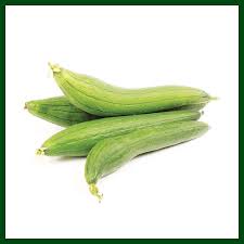 F1 Hybrid Sponge Gourd (ধুন্দল)