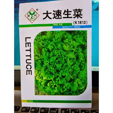 Four Seasons Global Lettuce Seeds
