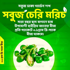 Hybrid Green Cherry Chilli Seeds