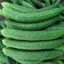 Qiu Sheng Bonsai Cucumber (20 Pcs)
