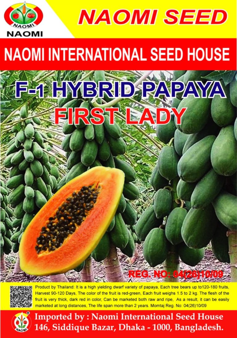First lady hybrid papaya