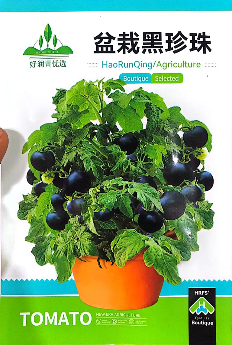 Chinese Black Cherry tomato